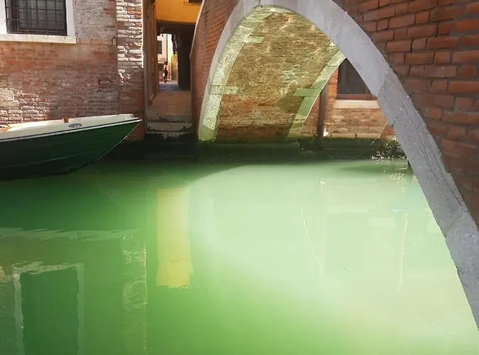 Secret Garden In The Very Heart Of Venice